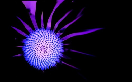 太阳能测控仪设置，至尊太阳能测控仪的时间显示错误如何调整与操作