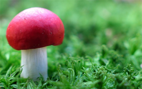 上海光伏安装公司哪家好，上海太阳能光伏做的比较好的是哪几家厂知道的请不吝赐教谢谢百度